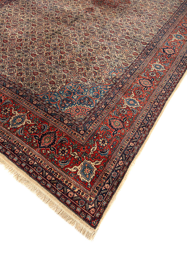 aalam gold wool hand knotted Rug - FoldShot