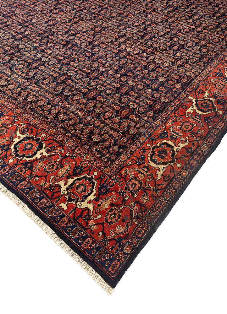 aalam blue wool hand knotted Rug - FoldShot aalam blue wool hand knotted Rug - FoldShot