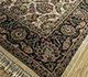 Afghan Mori