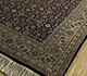 Afghan Mori