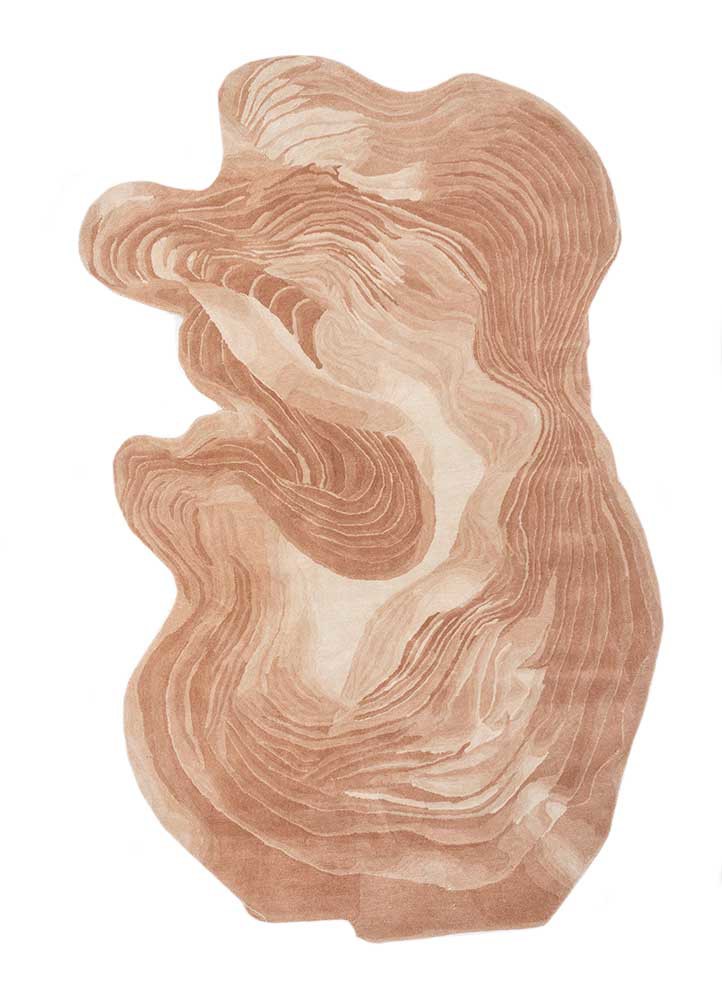 lucid beige and brown wool hand tufted Rug - HeadShot