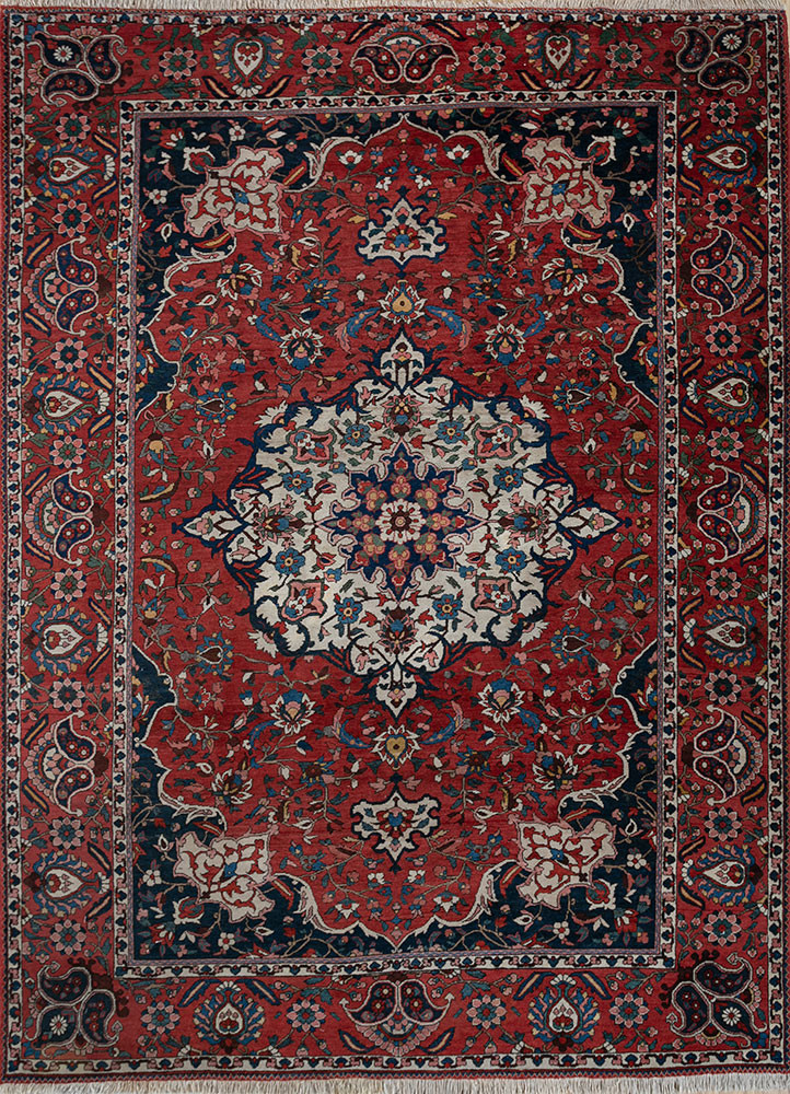 aalam red and orange wool hand knotted Rug - HeadShot aalam red and orange wool hand knotted Rug - HeadShot