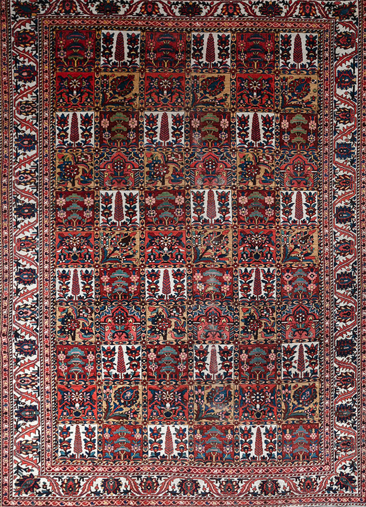 aalam red and orange wool hand knotted Rug - HeadShot aalam red and orange wool hand knotted Rug - HeadShot