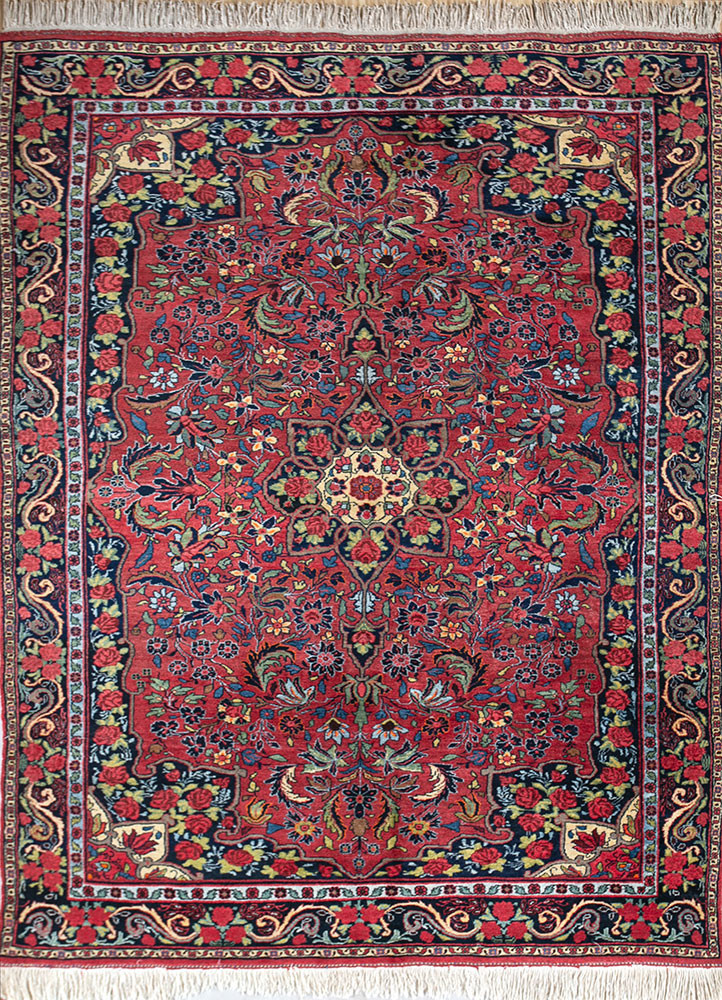 aalam red and orange wool hand knotted Rug - HeadShot aalam red and orange wool hand knotted Rug - HeadShot