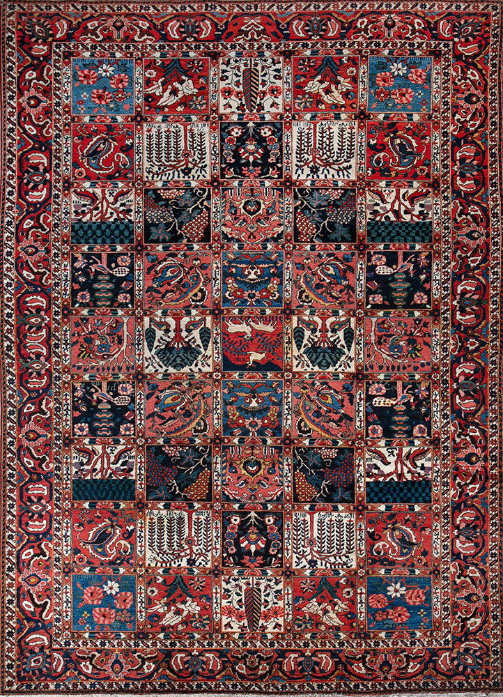 aalam red and orange wool hand knotted Rug - HeadShot aalam red and orange wool hand knotted Rug - HeadShot