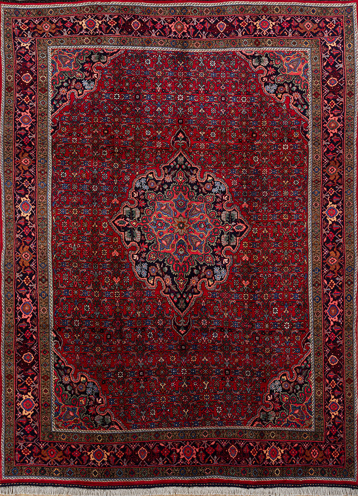 aalam red and orange wool hand knotted Rug - HeadShot