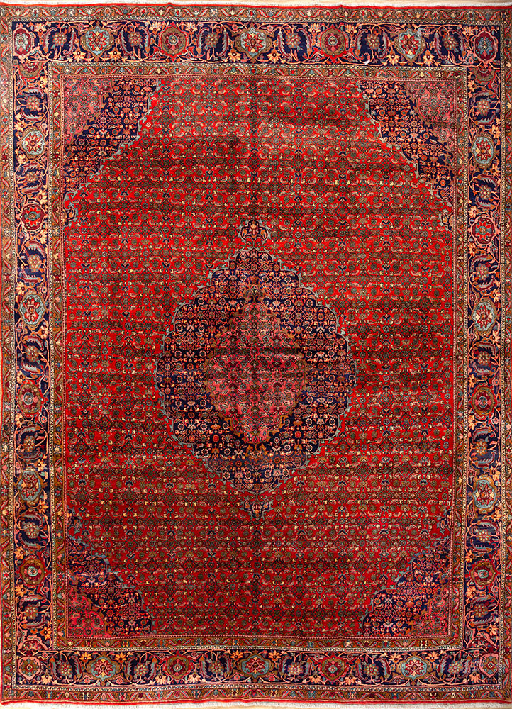 aalam red and orange wool hand knotted Rug - HeadShot aalam red and orange wool hand knotted Rug - HeadShot