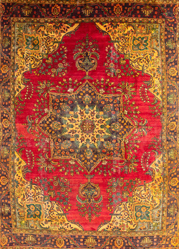 aalam red and orange wool hand knotted Rug - HeadShot aalam red and orange wool hand knotted Rug - HeadShot