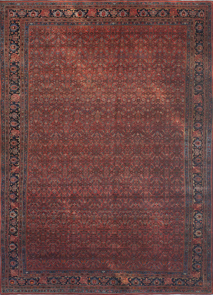 aalam blue wool hand knotted Rug - HeadShot aalam blue wool hand knotted Rug - HeadShot