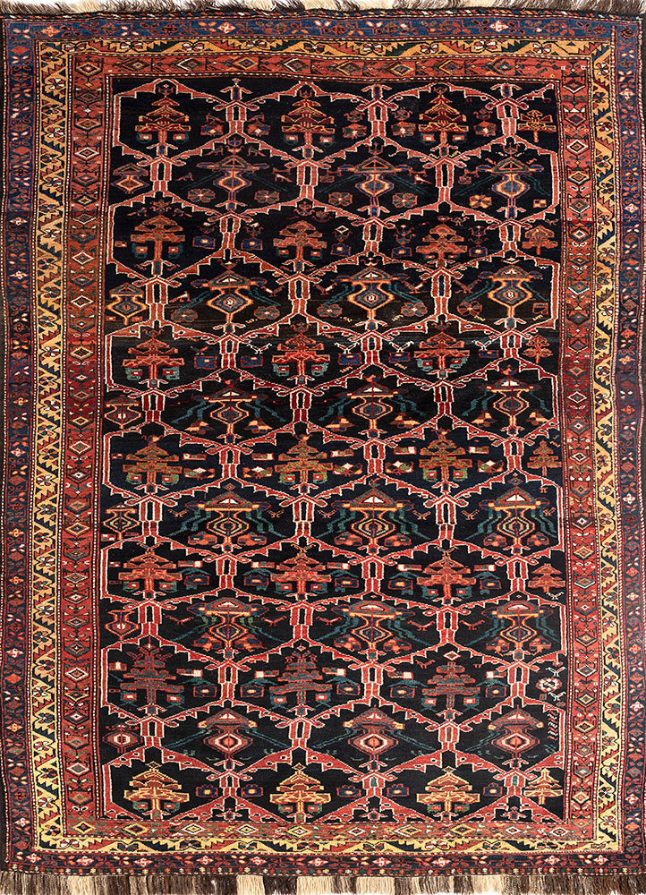 kiaan blue wool hand knotted Rug - HeadShot kiaan blue wool hand knotted Rug - HeadShot