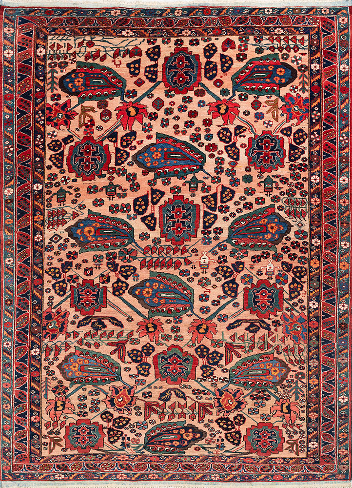 aalam red and orange wool hand knotted Rug - HeadShot aalam red and orange wool hand knotted Rug - HeadShot