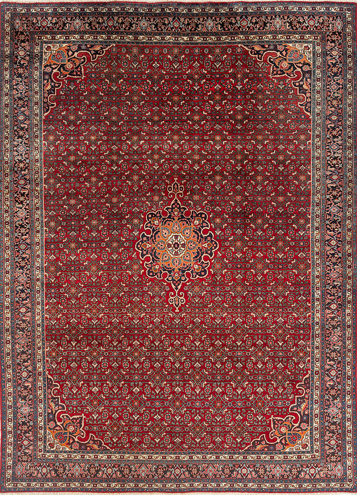aalam red and orange wool hand knotted Rug - HeadShot aalam red and orange wool hand knotted Rug - HeadShot