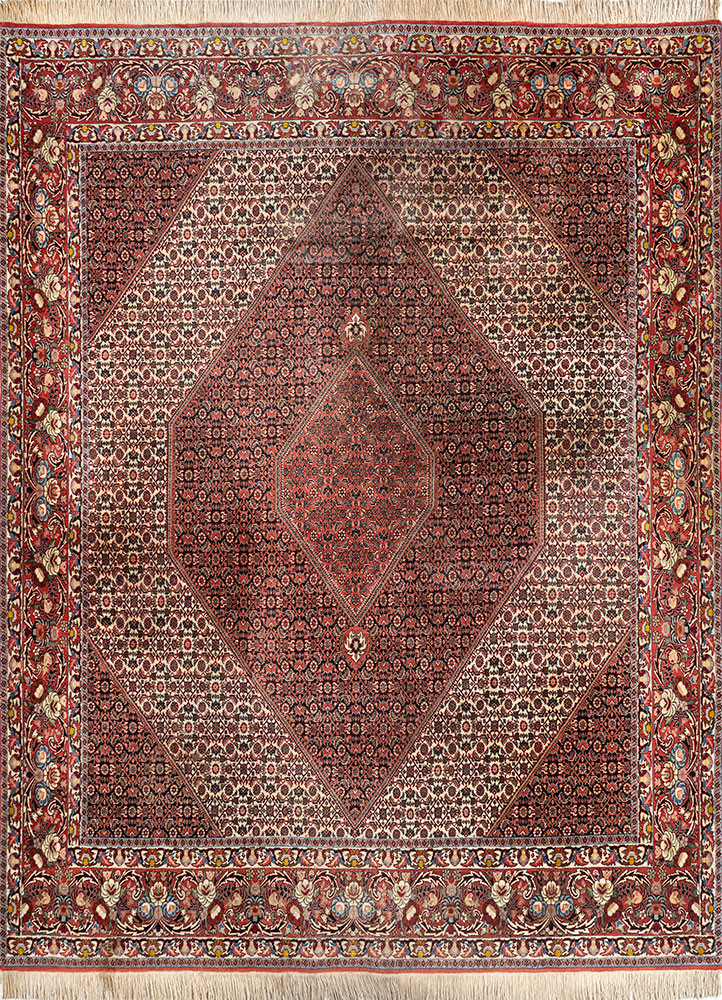 aalam ivory wool hand knotted Rug - HeadShot aalam ivory wool hand knotted Rug - HeadShot