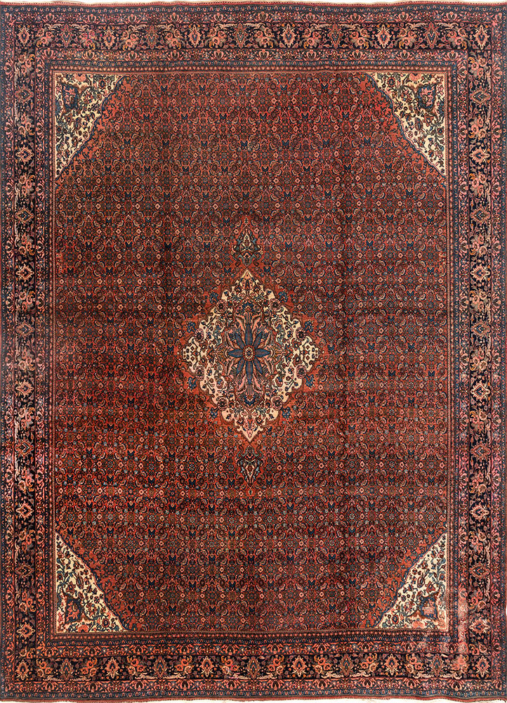 aalam red and orange wool hand knotted Rug - HeadShot aalam red and orange wool hand knotted Rug - HeadShot