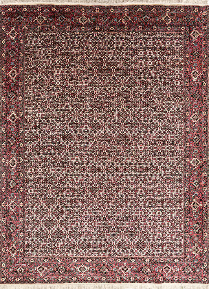 aalam ivory wool hand knotted Rug - HeadShot aalam ivory wool hand knotted Rug - HeadShot