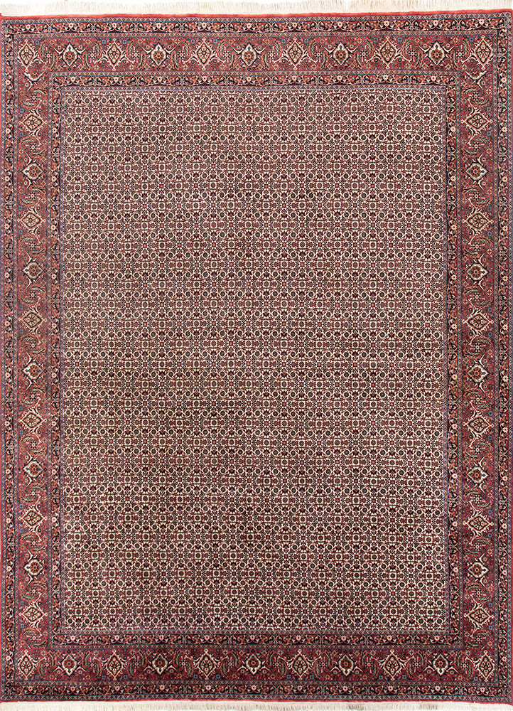 aalam ivory wool hand knotted Rug - HeadShot aalam ivory wool hand knotted Rug - HeadShot