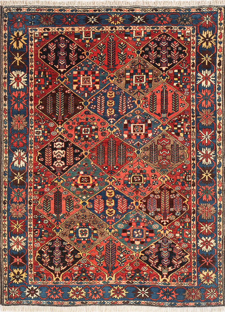 aalam red and orange wool hand knotted Rug - HeadShot aalam red and orange wool hand knotted Rug - HeadShot