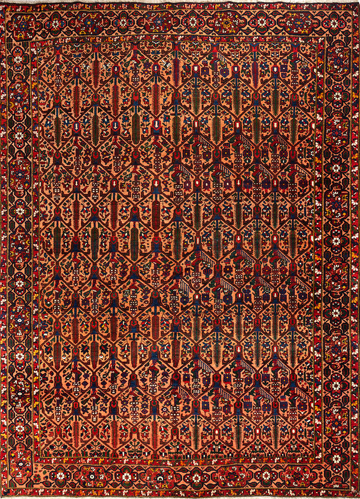 aalam red and orange wool hand knotted Rug - HeadShot