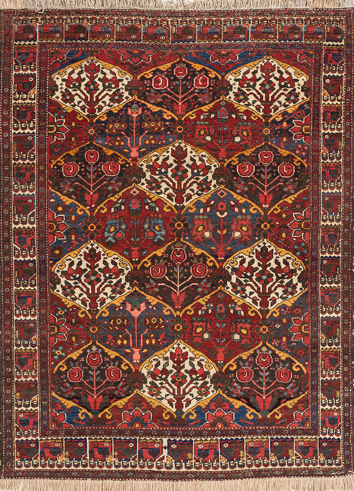 aalam red and orange wool hand knotted Rug - HeadShot aalam red and orange wool hand knotted Rug - HeadShot