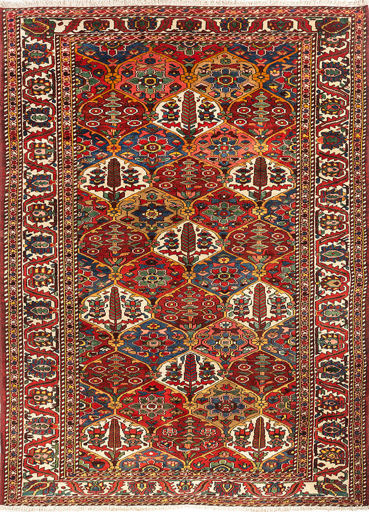 aalam red and orange wool hand knotted Rug - HeadShot aalam red and orange wool hand knotted Rug - HeadShot