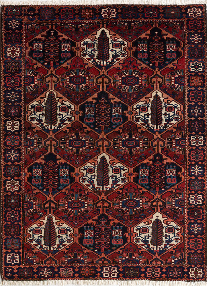 aalam red and orange wool hand knotted Rug - HeadShot aalam red and orange wool hand knotted Rug - HeadShot