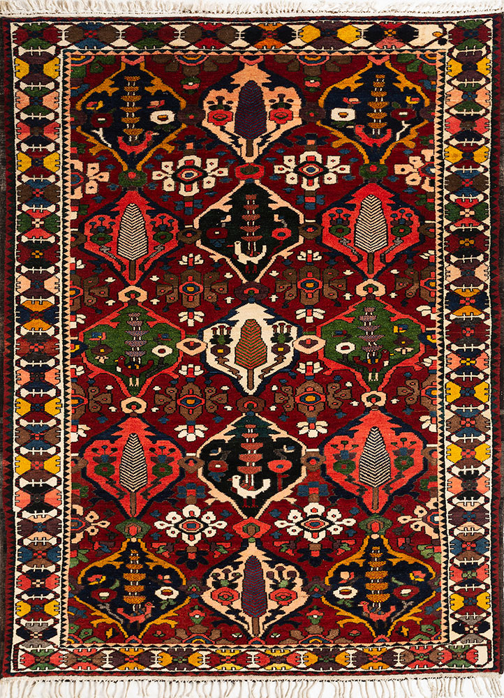 aalam red and orange wool hand knotted Rug - HeadShot aalam red and orange wool hand knotted Rug - HeadShot