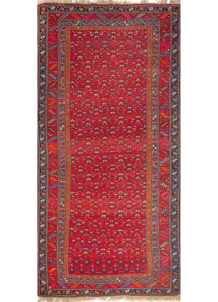 aalam red and orange wool hand knotted Rug - HeadShot aalam red and orange wool hand knotted Rug - HeadShot