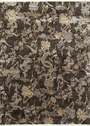 Jenny Jones- Lineage