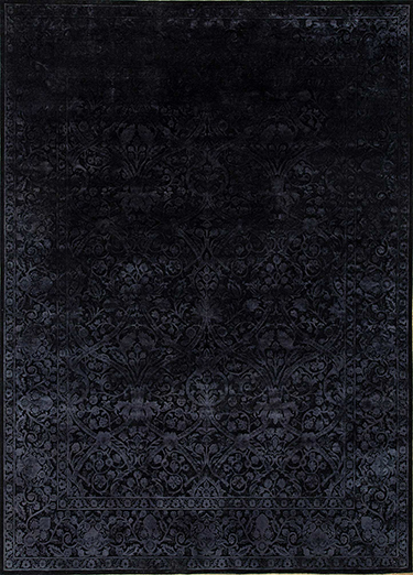 Lacuna