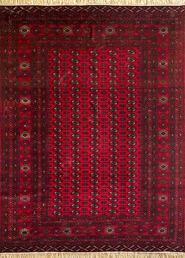 Afghan Mori