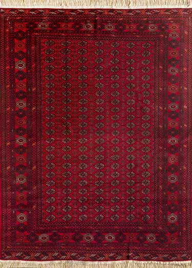 Afghan Mori