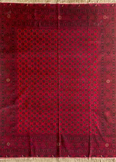 Afghan Mori