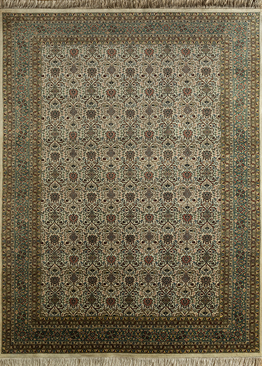 Afghan Mori
