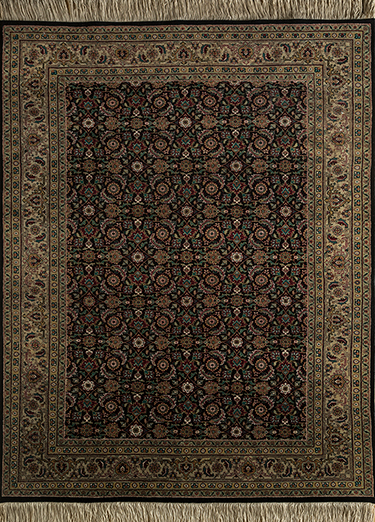 Afghan Mori