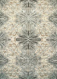 Chaos Theory By Kavi