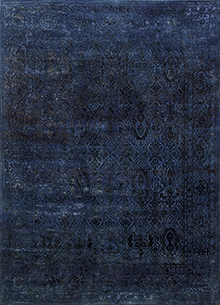 Lacuna