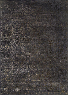 Lacuna