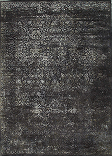 Lacuna