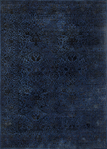 Lacuna