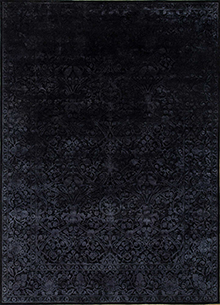 Lacuna