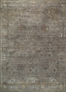Lacuna