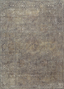 Lacuna