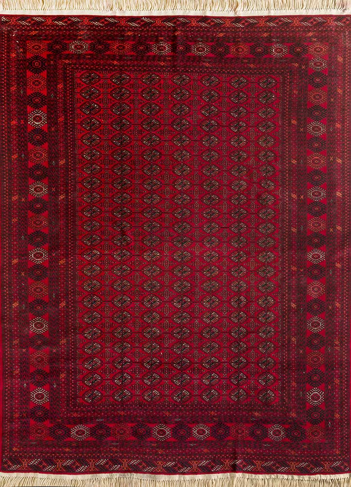 Afghan Mori
