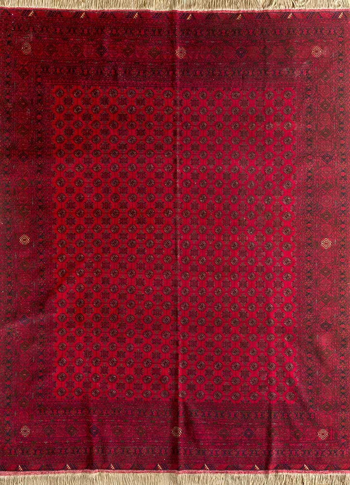 Afghan Mori