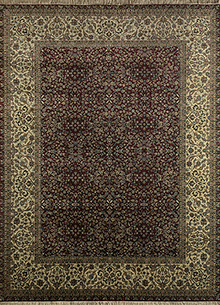 Afghan Mori