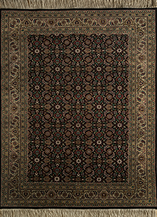 Afghan Mori