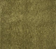 Swamp Green / Swamp Green