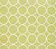 Wild Lime / White