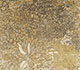 Ashwood / Linen