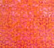 Tiger Lily / Cameo Pink